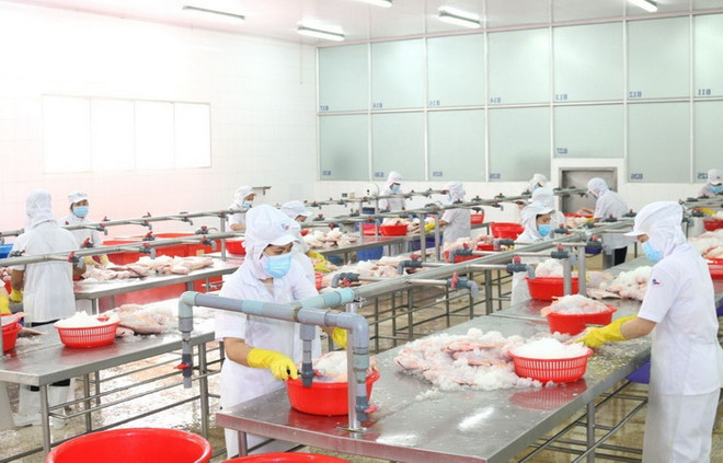Khu vực chế biến thủy sản xuất khẩu. (Ảnh: Xuân Anh/TTXVN) TP.HCM: Đa dạng hoạt động chăm lo Tết Nhâm Dần cho người lao động ảnh 1