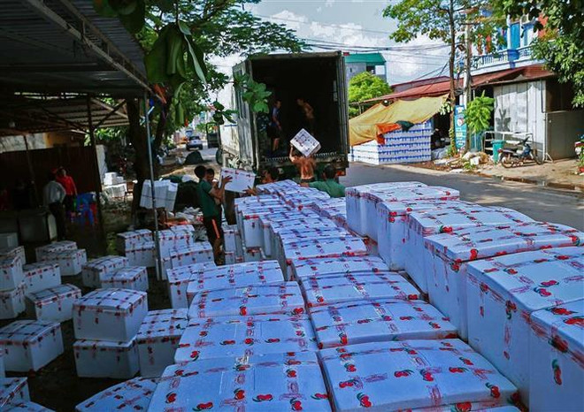 Xuất khẩu rau quả trong sáu tháng đầu năm tăng gần 4% ảnh 2