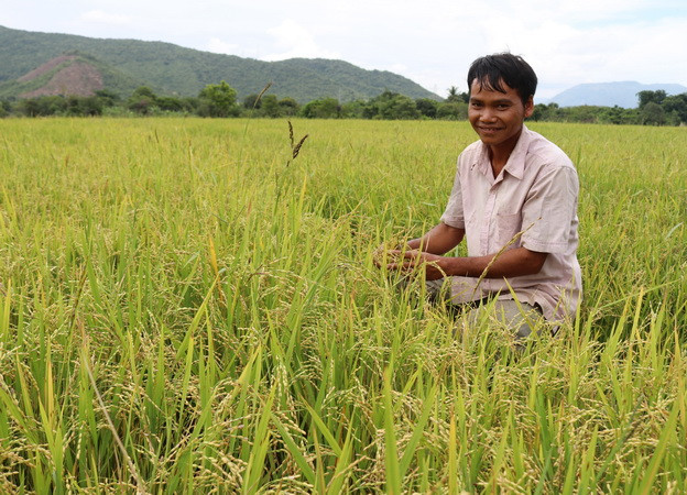 Thúc đẩy phát triển kinh tế-xã hội vùng căn cứ cách mạng Bác Ái ảnh 2