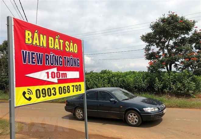 Môi giới bất động sản “xoay sở” trong mùa dịch COVID-19 ảnh 1