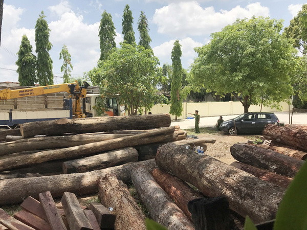 Vụ bắt giữ gỗ lậu quy mô lớn tại Đắk Nông: Khởi tố, tạm giam 5 bị can ảnh 1