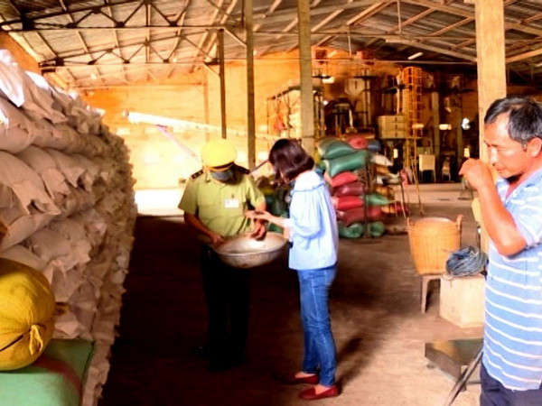 Bình Phước khẳng định ''hỗn hợp trộn pin'' chưa đưa ra tiêu thụ ảnh 1