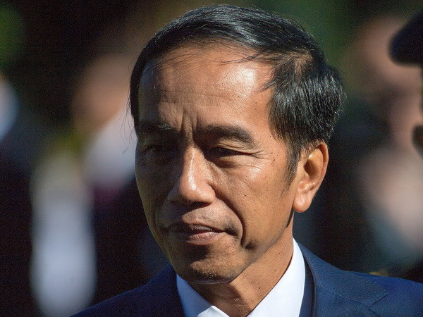 Chủ nhà Indonesia sẽ tham gia cuộc đua xin đăng cai Olympic 2032 ảnh 1