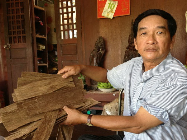 Lão kỹ sư từ quan lên núi trồng dó bầu tạo trầm hương ảnh 2