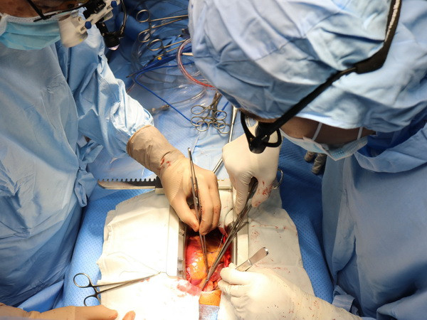 Hỗ trợ phẫu thuật 'hồi sinh' trái tim cho 6.000 trẻ em Việt Nam ảnh 1