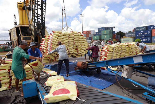 Vận chuyển gạo xuất khẩu xuống container. (Ảnh: Vũ Sinh/TTXVN) ttxvn-xuat-khau-gao-cua-viet-nam-dat-ky-luc-ve-san-luong-va-gia-tri-xuat-khau-6678.jpg