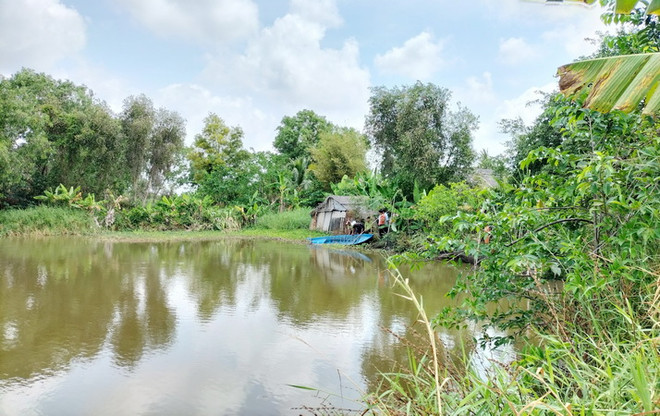 Bạc Liêu: Xuất hiện cá sấu ở các ao, kênh trên địa bàn xã Long Thạnh ảnh 1