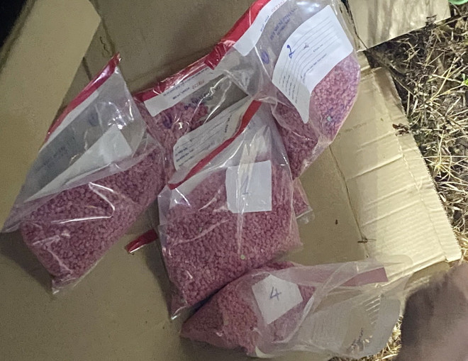 Quảng Trị: Vận chuyển 8.000 viên ma túy từ biên giới vào nội địa ảnh 1