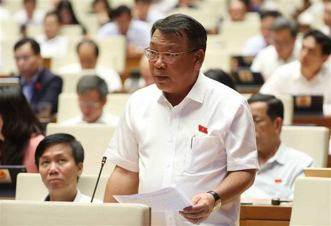 Tháo gỡ khó khăn, vướng mắc trong chuyển mục đích sử dụng rừng ảnh 1