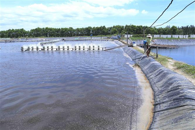 Tiền Giang mở rộng diện tích thủy sản ở các vùng sinh thái ảnh 1