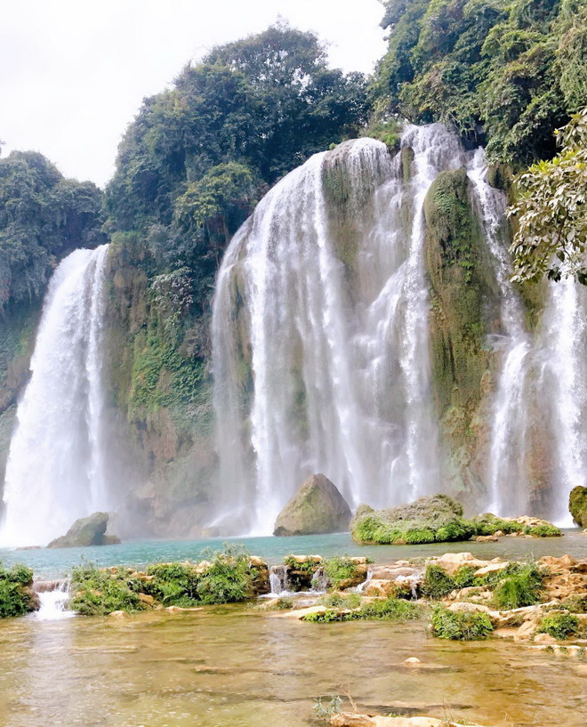 vnp_thac ban gioc1.jpg