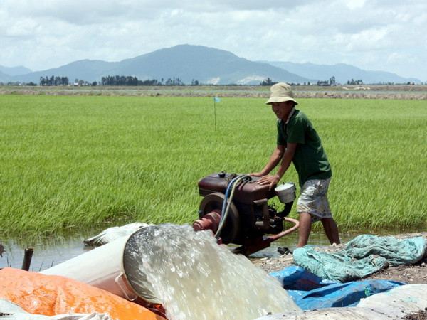 Đồng bằng sông Cửu Long cần tranh thủ lấy nước ngọt từ nay đến 7/3 ảnh 1