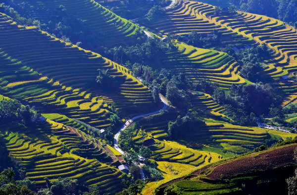 Phát động cuộc thi ảnh nghệ thuật du lịch toàn quốc lần thứ 7 ảnh 1