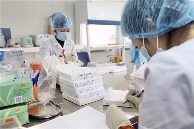 Gia Lai: Các mẫu xét nghiệm tại các điểm cộng đồng đều âm tính ảnh 1
