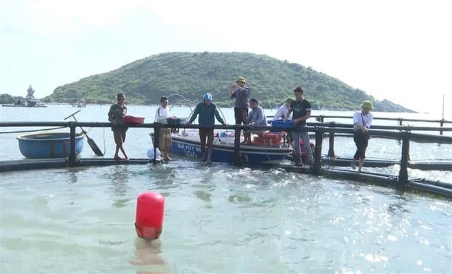 Phát triển nuôi trồng thủy sản trên biển phải tích hợp đa giá trị ảnh 1