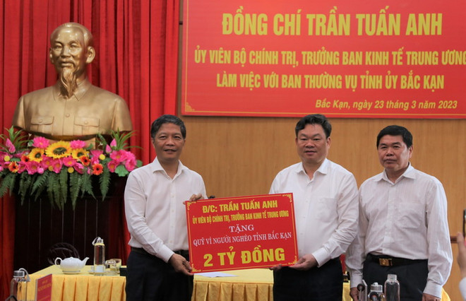 Phát triển lâm nghiệp bền vững gắn với sinh kế của người dân ảnh 2