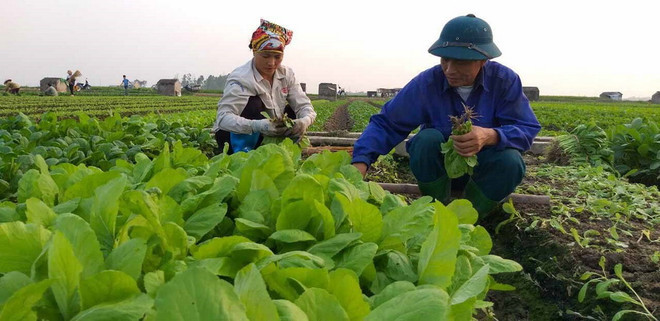 Gần 100% số xã hoàn thành phê duyệt quy hoạch xây dựng nông thôn mới ảnh 1