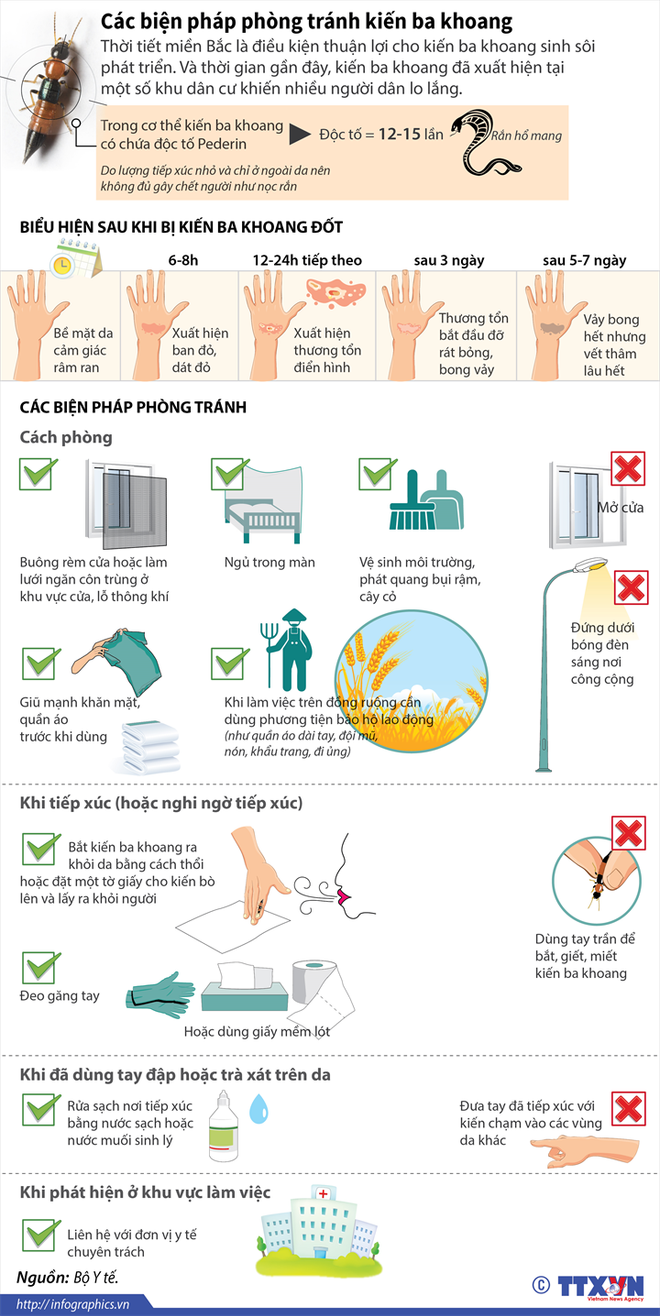 [Infographics] Các biện pháp để phòng tránh kiến ba khoang ảnh 1
