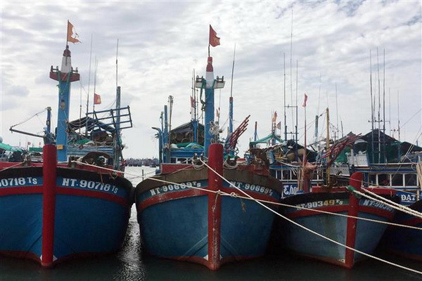 Theo dõi chặt chẽ diễn biến áp thấp nhiệt đới để chủ động ứng phó ảnh 1