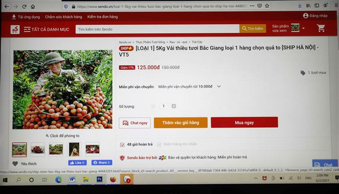 Các sàn thương mại điện tử chung tay tiêu thụ vải thiều Bắc Giang ảnh 2