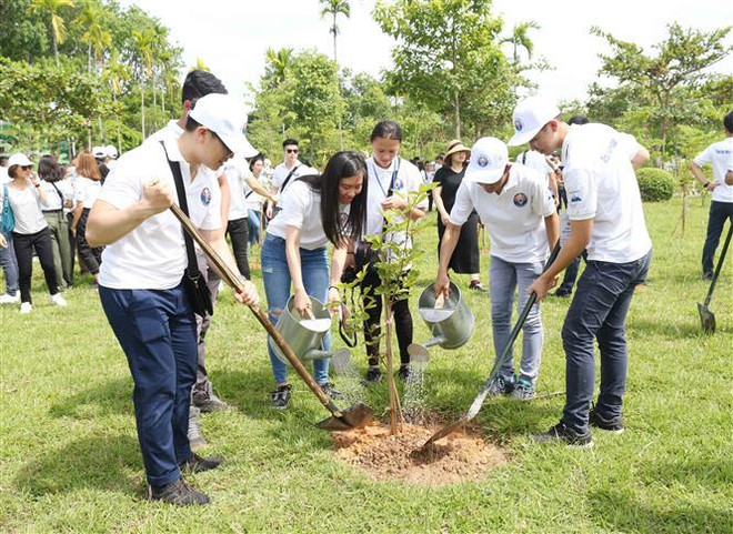 Sâu nặng ân tình Trại hè Việt Nam 2019 thăm quê hương Bác ảnh 3