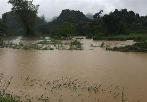 Cao Bằng: Mưa lớn ngập hơn 900 ngôi nhà, 1.000ha lúa và hoa màu ảnh 2