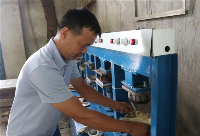 Độc đáo những chiếc đĩa thân thiện với môi trường từ lá nho biển ảnh 2