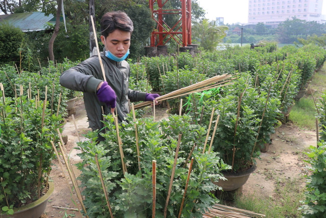 Sắp xếp các đơn vị hành chính cấp xã thuộc một số tỉnh ảnh 2