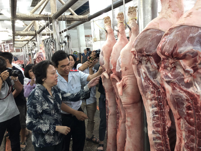 TP Hồ Chí Minh ngăn dịch tả lợn châu Phi xâm nhập từ các cửa ngõ ảnh 1