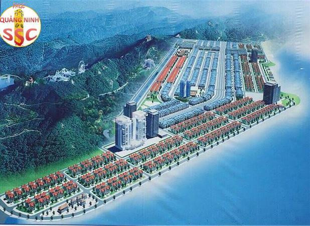 Xử lý nghiêm hành vi quảng cáo trá hình tạo cơn sốt đất ở Vân Đồn ảnh 1