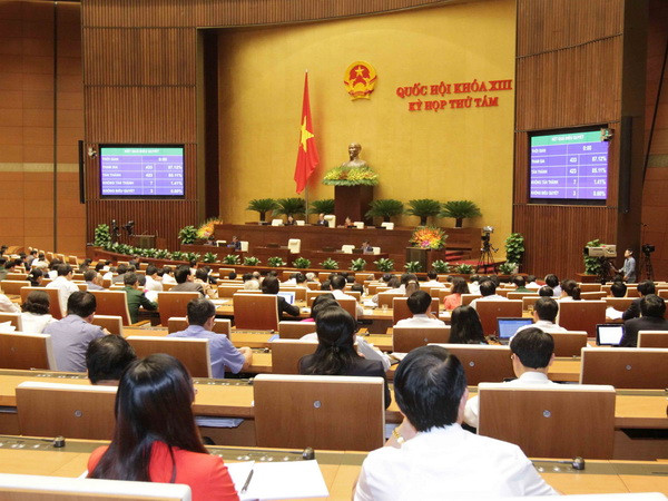 Kỳ họp thứ tám Quốc hội khóa XIII: Ấn tượng “Diên Hồng” ảnh 1