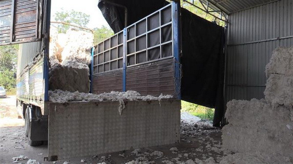 Bình Dương: Bắt quả tang vụ đổ trái phép 6 tấn chất thải ra môi trường ảnh 1