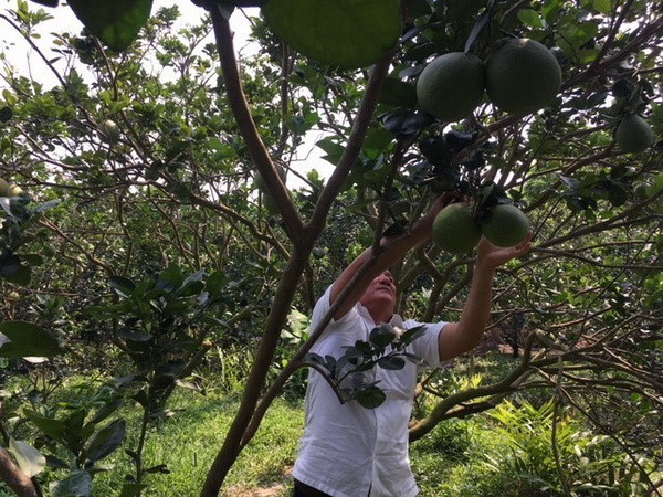 Bến Tre đầu tư 35 tỷ đồng phát triển các sản phẩm nông nghiệp thế mạnh ảnh 1