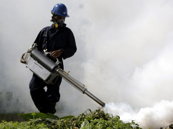 Virus Zika tại Singapore không phải lây truyền từ Nam Mỹ ảnh 1