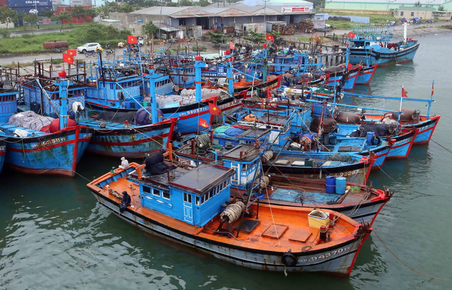 Ngư dân ven biển Tây Nam Bộ vẫn thờ ơ với bảo hiểm tàu cá ảnh 1