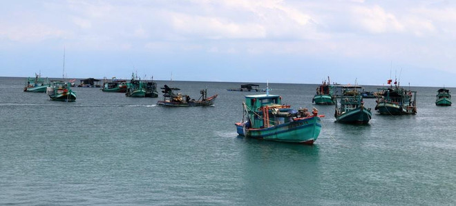 Kiểm soát chặt tàu ra vào tại các cảng cá nhằm gỡ “thẻ vàng” ảnh 1