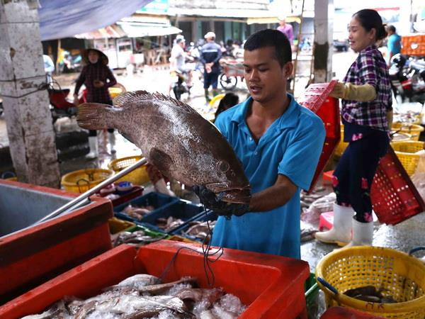 Kiểm soát chặt tàu ra vào tại các cảng cá nhằm gỡ “thẻ vàng” ảnh 2