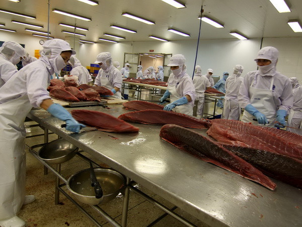 Hơn 170 công ty sẽ tham gia Hội chợ Thủy sản Quốc tế 2014 ảnh 1