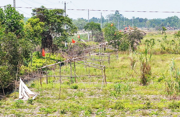 Long An: Khởi tố vụ án bao chiếm đất công ở xã Thạnh Lợi ảnh 1