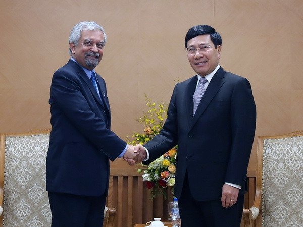 Phó Thủ tướng Phạm Bình Minh tiếp Trưởng Đại diện UNDP tại Việt Nam ảnh 1