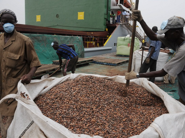 Công nhân chuyển cacao tại cảng Abidjan, nơi 80% hàng hóa xuất khẩu của Cote d'ivoire được vận chuyển qua đây. (Nguồn: AFP TTXVN) Giá cacao có xu hướng tăng do nguồn cung hạn hẹp ảnh 1