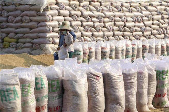 Tổng thống nước Cộng hòa Sierra Leone Julius Maada Bio cùng Đoàn đại biểu cấp cao nước Cộng hòa Sierra Leone tham quan các gian hàng trưng bày các sản phẩm gạo của Công ty cổ phần Xuất nhập khẩu An Giang. (Ảnh: Công Mạo/TTXVN) An Giang ký thỏa thuận xuất khẩu 3 triệu tấn gạo sang Sierra Leone ảnh 1