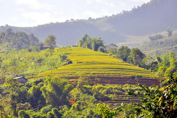 Vẻ đẹp nên thơ của ruộng bậc thang Pác Nặm ở Bắc Kạn ảnh 4
