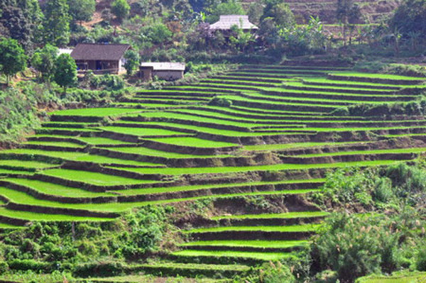 Vẻ đẹp nên thơ của ruộng bậc thang Pác Nặm ở Bắc Kạn ảnh 2