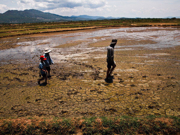 Gia Lai huy động tổng lực triển khai các giải pháp chống hạn ảnh 1