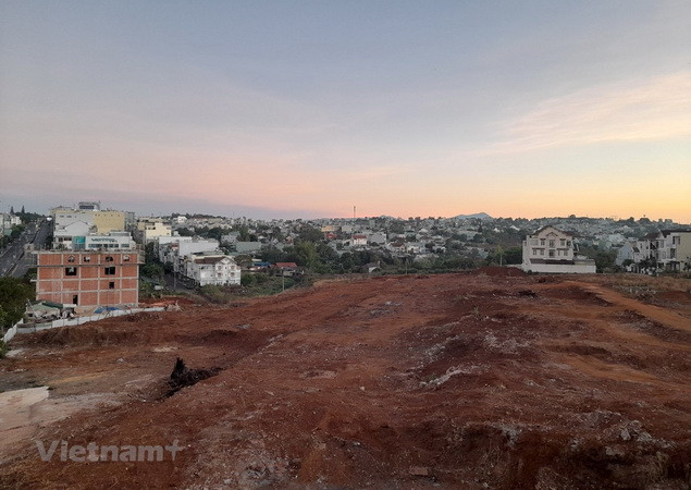 Hoàn thiện chính sách, nâng cao hiệu quả quản lý và sử dụng đất ảnh 1