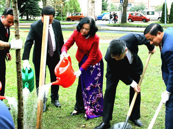 Phát triển quan hệ với Việt Nam đạt được sự đồng thuận ở Hungary ảnh 3