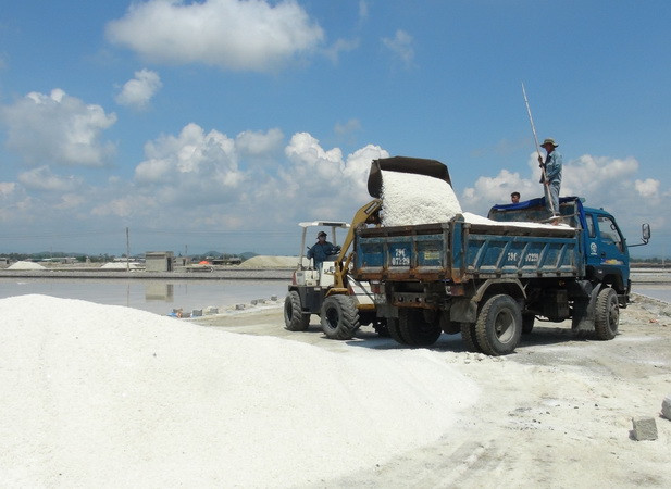 Thời tiết không thuận lợi, diêm dân Khánh Hòa thua lỗ trong mùa muối ảnh 1