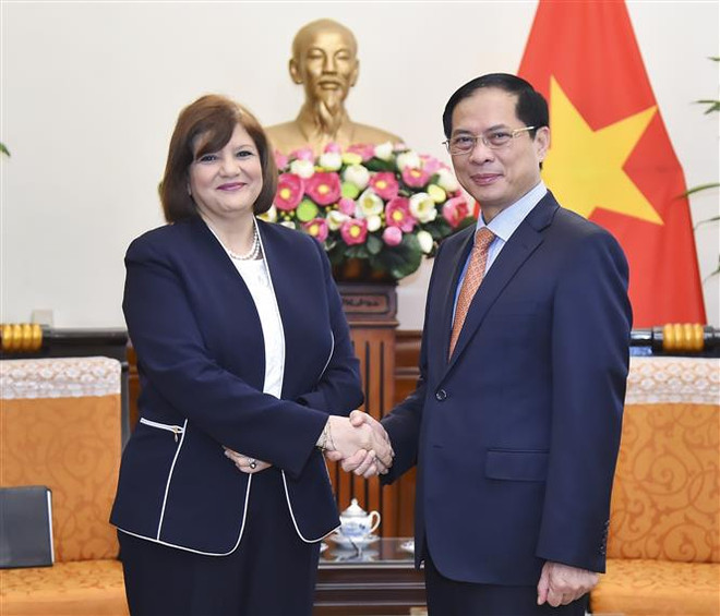 Việt Nam-Ai Cập phấn đấu đưa kim ngạch song phương đạt 1 tỷ USD ảnh 1