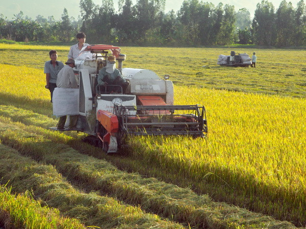 Ngành nông nghiệp Việt Nam đang đứng trước vận hội lớn ảnh 1